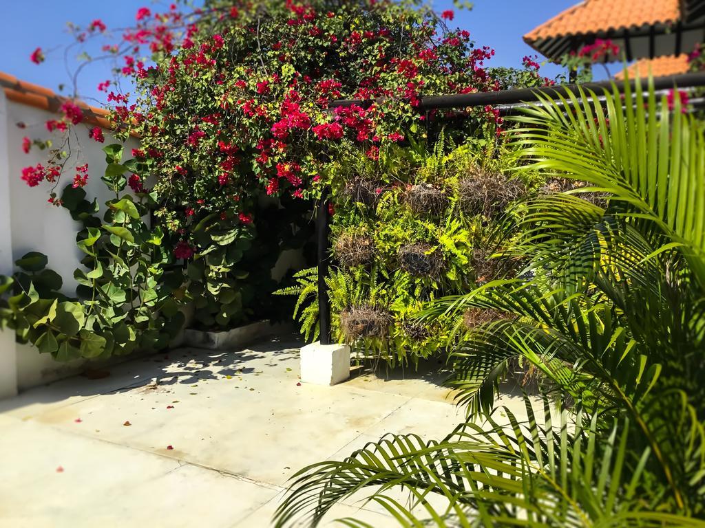 Casa Ines Panzió Santa Marta  Kültér fotó