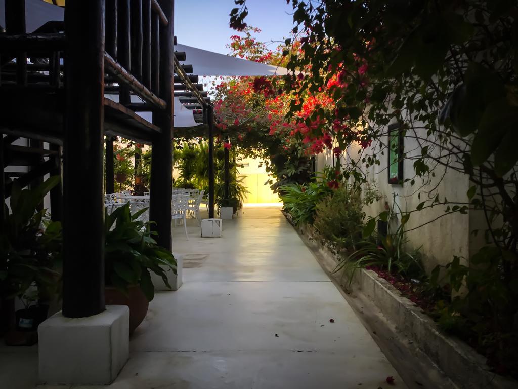 Casa Ines Panzió Santa Marta  Kültér fotó